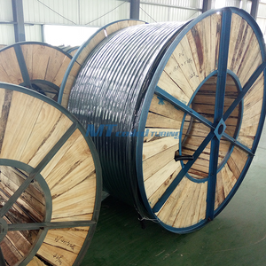 Duplex Steel 2205/S32205 Wire Protection Control Line Tubing for Chemical Injection Line